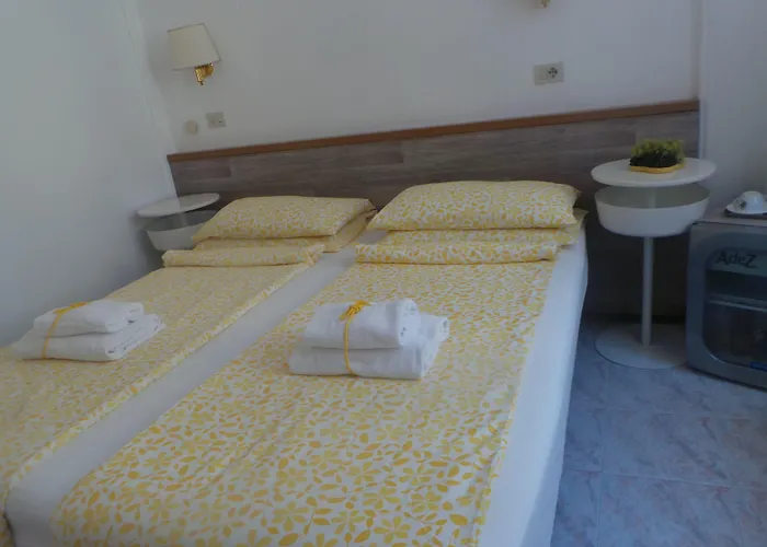 Hotel Castelfidardo 2*